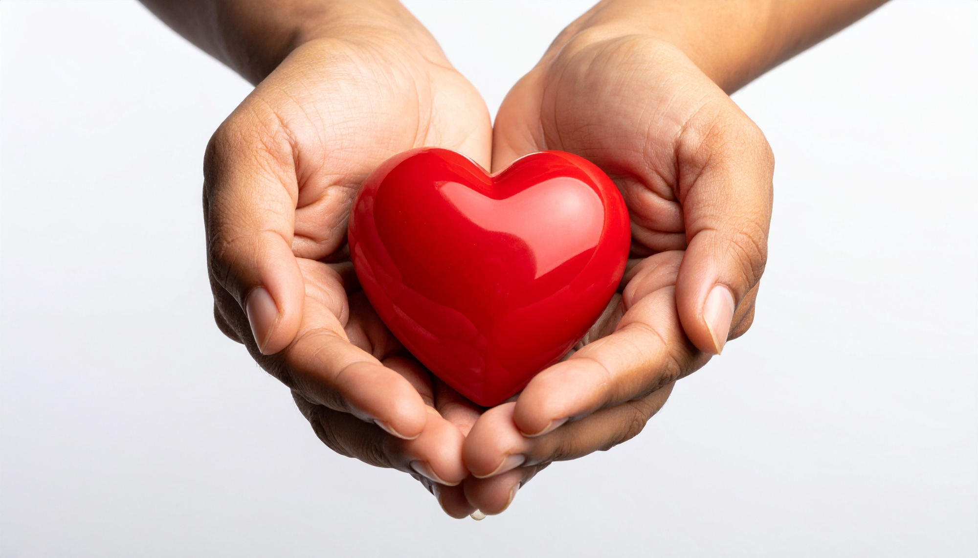 dg door service donating